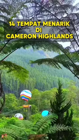 14 Tempat Menarik di Cameron Highlands 