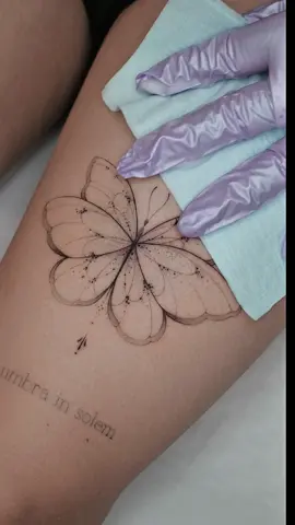 Butterfly design I did for her ❤️ thank you so much ❤️❤️ #kassel🇩🇪 #germany #butterfly #finelinetattoo 