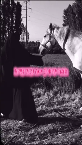 #ferdosmuhammed #alhamdulillahforeverything #strongwomen #islamicreminder #fyrpppppppppppppppppppppppp 