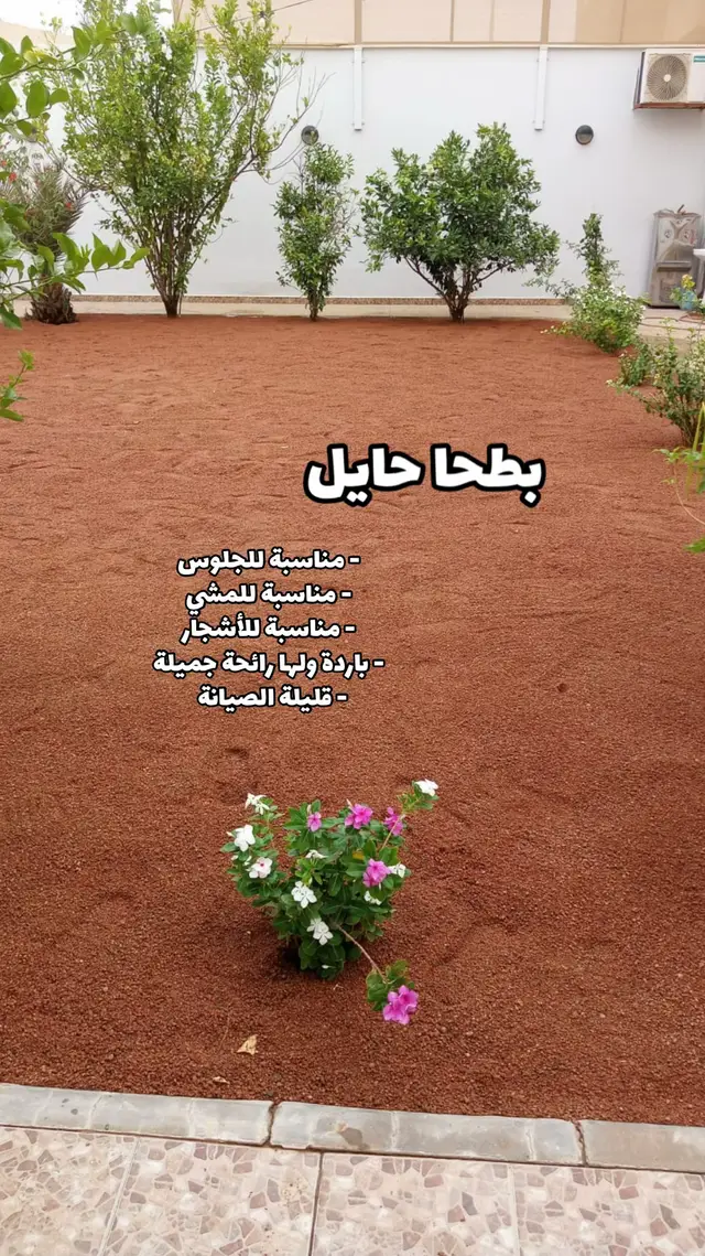 #اكسبلورexplore #fyp #تنسيق_حدائق #زراعة_منزلية #بوكس_زليج 