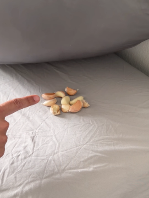 I put garlic under my pillow … and this happened! #lawofattraction #abundance #lifehacks