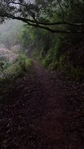 #hiking #puncak29 