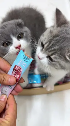 Nhà mà đông con thì cứ combo ngon bổ rẻ là mình múc nha