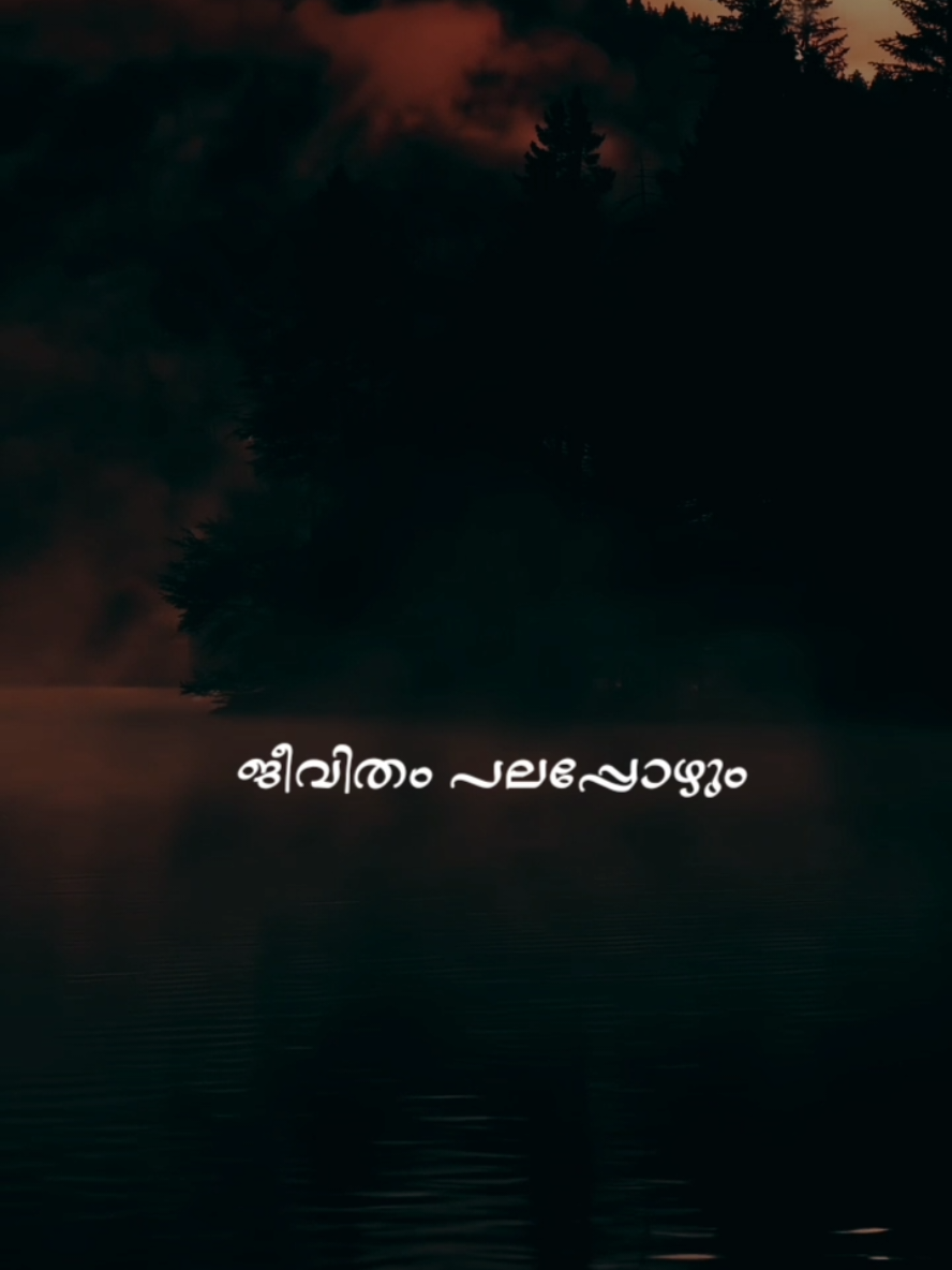 #whatsappstatus #malayalamquotes #malayalam #quotes #life #malayalamlyrics #jeevitham #uae 