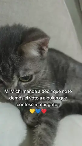 bote por el que quiera pero por ese ser ❌