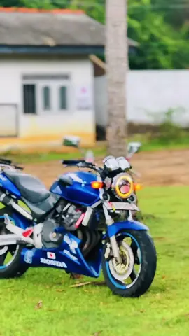 #මන්_ඔයාට_හරි_ආදරෙයි_ළමයො🥺🌍💝  bluefi💙  #honda  #hornet250  #hondahornet250cc🔥🐝  #viralvideo 