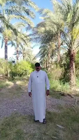 السلام عليكم اخوان دونمين ونص في منطقه الراشديه قرب البحيره منطقه المهندسين تبعد عن البحيره كيلو متر  نوع العقار ملك طابو سند 25 الوجه ٢٩ ونزال ٢٣٠ ماء سقي كهرباء سبيس الشارع التفاصيل داخل الفيديو السعر الدونم الواحد ١٥٠ والمجال ويا صاحبها  تنباع سوا الدونمين ونص  الاتصال على هذه الرقم ٠٧٧٢٣٥٧٣٨٢٤#اراضي_زراعية #عقارات_العراق_بغداد_ #العقار_بغداد #العقار_بغداد #العراق_السعوديه_الاردن_الخليج 