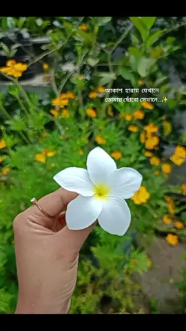 আকাশ  হারায়  যেখানে তোমায় ছোঁবো সেখানে..✨