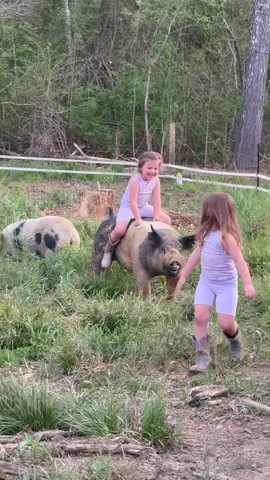 Farm kids just built different 😂#farmkids #countrykids #farmlife #raisingkids #funnykids 
