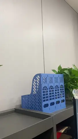😎😎#fyp 
