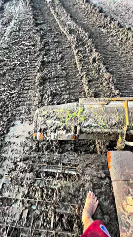Chủ ruộng thối đủ nước rồi con đem máy xới đi,,và cái kết nè 😂🚜❤️‍🔥#kubota6040giangtun🚜#xuhuongtiktok