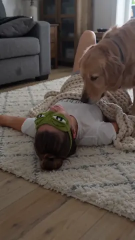 Sweet dreams and silly frogs. The perfect nap doesn't exi— 🐸 #dogsoftiktok #wholesome #sleepmask #eyemask #tiktokfind 