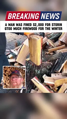 A MAN WAS FINED $2,000 FOR STORING TOO MUCH FIREWOOD FOR THE WINTER #news #usa🇺🇸 #foryou #wood #fyp 