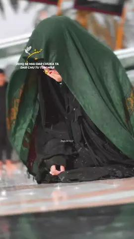 🥺❤️‍🩹عشق سے میں ڈر چکا تھا تم ملے  #i_need_your_support #plzunfrezemyaccount #explore #viralvideo #Zoyaali 