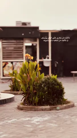 ً❤️‍🩹#fyp #هواجيس 