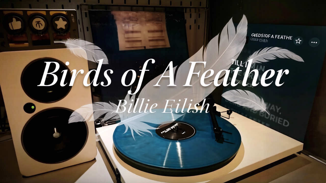 没放过鸟毛的手机，只是一块冰冷的板砖罢了。 #vinyl #music #billieeilish #birdsofafeather #hitmehardandsofttour 
