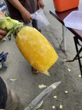 Open nanas madu & alpukat mentega 🥑🍍 📍Sanggamara  #fyp #fyppppppppppppppppppppppp #viraltiktok #foryou #masukberandafypシ 