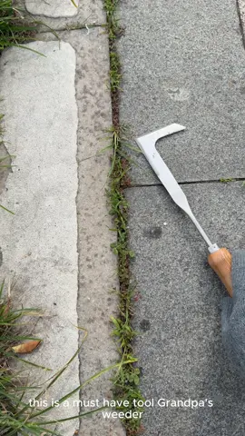 Do you have better tool for this type grass in crevice? #crevicetool#magictools#drivewaycracksgrass#TikTokShopDealsforYouDays #fathersdaygift