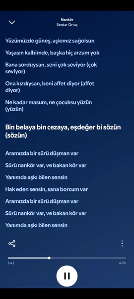 Serdar Ortaç  nankör #musik #serdarortaç #fyppppppppppppppppppppppp #fyp #mix 