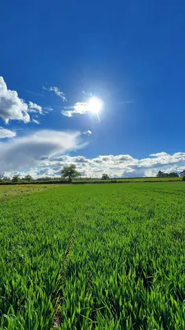 most beautiful, lush green landscapes in the UK. You can escape into nature right on your🍁🇬🇧#loyal_🎀✨ #foryou 