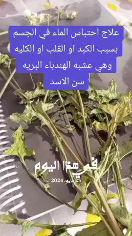 #في هذا اليوم