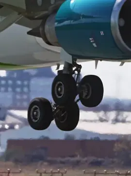 Airbus A330 butter landing#fyp #airbus #a330 #aviation #aircraft 