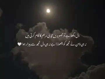 دل دکھتا ہے تو تصویریں تیری مرہم کا کام کرتی ہیں  نہ ہی ذہن نے تجھ کو چھوڑا نہ ہی دل تجھے سے بیزار ہوا❤️‍🩹🦇 . . . #fyyyyyyyyyyyyyyyy #fyp 