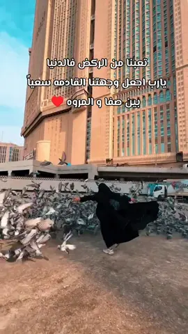 #viral #القران_الكريم_راحه_نفسية😍🕋 #flypシ #القران_الكريم #fyp 