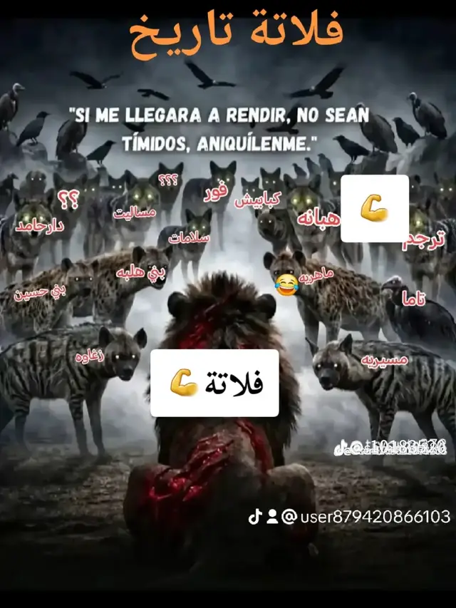 #فلاتة_حول_🌏العالم_فلاتة🎋💚💪 #لايکات🫡 #فلاتي_كنيزة #creatorsearchinsights 