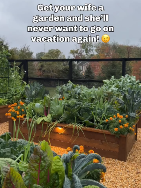 Okay, maybe she’ll still want a vacation, but she’ll definitely want to spend more time in the garden for sure! 😁🍅🥒🫑🍉🌸🌻🌹 Have a fabulous weekend! 💖 Xoxo, Resh #garden #valentinesdaygift #njgarden #kitchengarden #raisedbedgarden #DIY