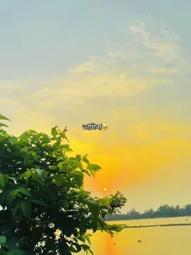 ভাগিনা আছে 🫠❤️‍🩹 #foryou #followers➕ #vairal @For You @TikTok Bangladesh 