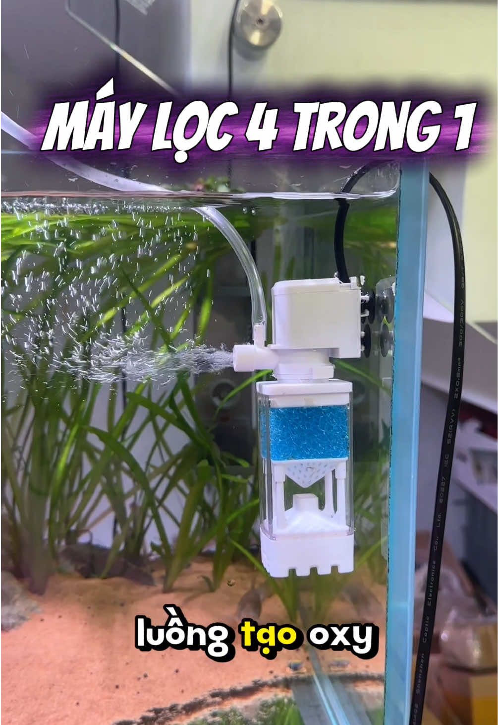 Máy lọc đa chức năng, 4 trong 1 cho ae chơi cá! #xomthuysinh #thuysinh #cácảnh 