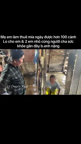 Mẹ em làm thuê mía ngày được hơn 100 cành Lo cho em & 2 em nhỏ cùng người cha sức khỏe gần đây b.enh nặng#ketnoiyeuthuong #hoancanhkhokhan #tuthien #tiktokvietnam🇻🇳 #xuhuong @datkim0794 