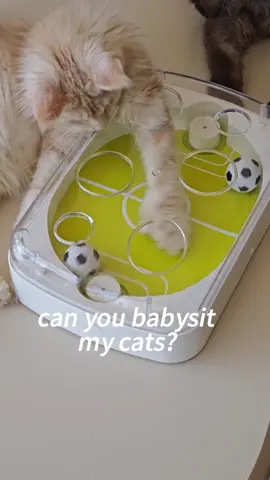Six holes. One moving light. Endless pounce potential. 🐱💫 This smart toy triggers your cat's hunting instincts—and runs on USB power.#CatHuntingToy #LightChase #SmartInteractive #USBRechargeable #catsoftiktok 