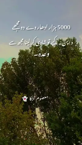 #urdupoetry #poetrytok #urdupoetryofficial 