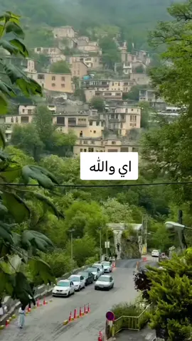 #الشعب_الصيني_ماله_حل😂😂 #مشاهير_تيك_توك 