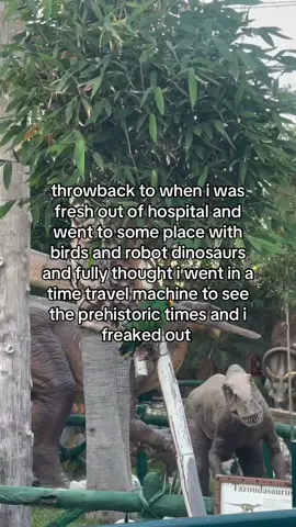 scary ness #fyp #viral #xyzabc #bird #dinosaur 