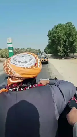 قائد✌️ سندھ✌️ سندھ کا✌️ سلطان حضرت علامہ✌️ راشد✌️ محمود زوم صاحب ✌️زندہ باد ✌️✌️جیو کریں ✌️جمیعت علماء اسلام،✌️