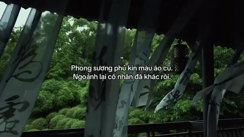 Ngoảnh lại cố nhân đã khác rồi. #mocnhienha #fyp 