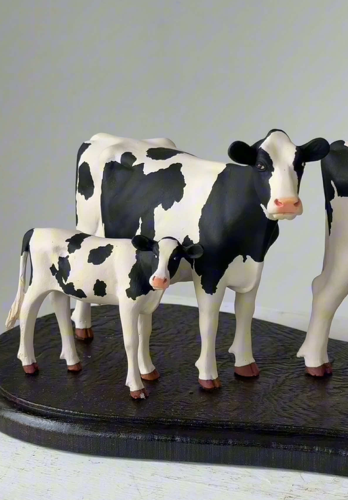 En la raza de la semana con SGarcía Escultor tenemos la raza Holstein como protagonista.  ¿Qué tal te parece esta raza?  #holstein #leche #ganaderia 