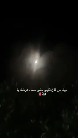 #لايكات_ لبيك من قاع قلبي حتى سماء عرشك يا اللّه