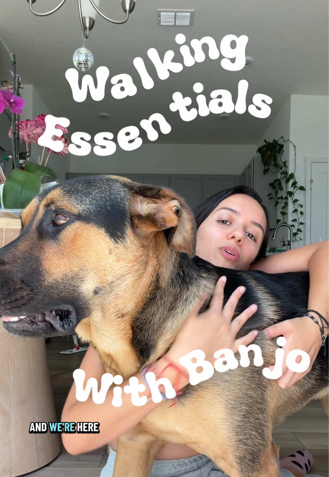 Some of the stuff we always have for our walks! 🐶 @rayallenk9 Prong Collar  @E-Collar Technologies Mini Educator @Dollar Tree poop bags #germanshepherd #rottweiler #funnydog #dogtok #dogwalk 