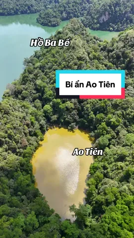 Sự kỳ diệu của thiên nhiên. Có ai lý giải được không? #hobabe #aotien 