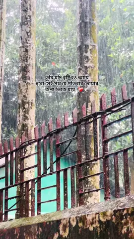 তুমি যদি বৃষ্টি হও আমি  হবো সেই পথ যে প্রতিবার তোমার  জন্য ভিজে যায়.!❤️‍🩹🕊️#caption #foryou #highlight #viral 