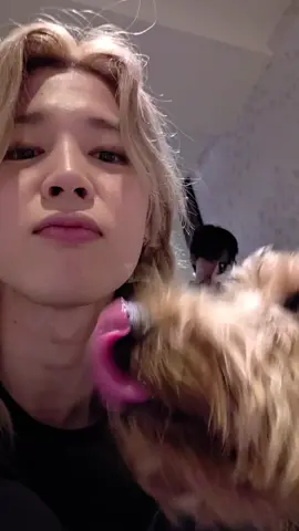 JIMIN IG STORY with STONEY🐕🐕🐕