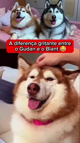 @zanqoficial @ @zanqoficial #familiaZ #zanq #zanqclipfy #clipfyleague 🔥 Entre no nosso grupo de ofertas grátis e receba promoções absurdas todos os dias!  👉 https://tr.ee/economi_z
