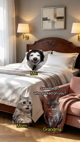 Grandma is always the strongest backup. And TeraBox AI PPT is definitely the best way to generate slides in just a few seconds! Link in bio 🔗 #terabox #teraboxaippt #catmemes #funnycats #meme  