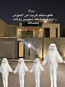 خير يا غوالي 😂😂😂.#الصينين_مالهم_حل😂😂 #ليبيا_طرابلس_مصر_تونس_المغرب_الخليج #هيفاء_توب_ليبيا #هيفاء_توب_ليبيا #هيفاء_توب_ليبيا 