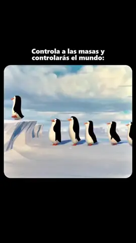 🤜🏻🤛🏼 haz todo lo contrario de lo que hacen los demás y triunfarás  #fypp #exitosamente #viral