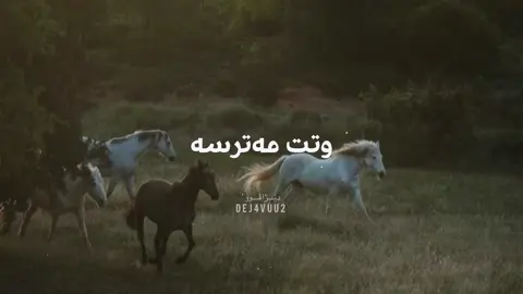 رۆژێک تێدەگەیت، ئەوکەسەی بەدڵ لەباوەشت هەڵتگردووە، هەر ئەوە لەکۆتایدا دەتکوژێت، هەروەکو ئەو مۆمەی پەتەکەی لەباوەش کردووەو لەکۆتایدا هەر ئەوە ئەیسوتێنێت. |ئارام ئازاد . . . . وتت مەترسە  بێ بگرە دەستم لەبێ کەسیتا  هەرخۆم گشت کەستم سەنا بەرزنجی . . . #fyp #foryou #foryoupage #viral #fyppppppppppppppppppppppp @TikTok 